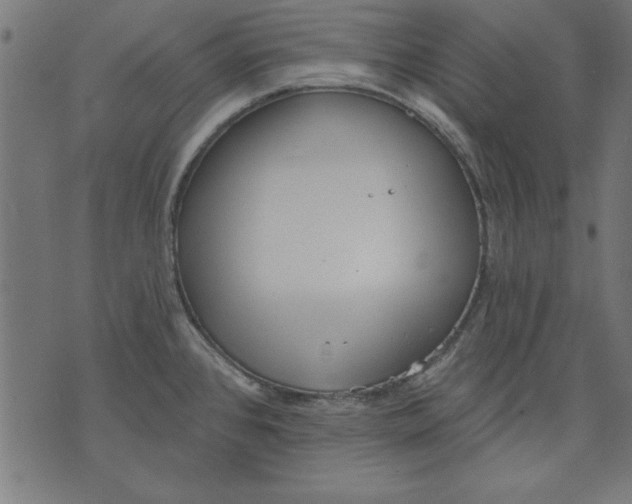 X0000073481384200608211614