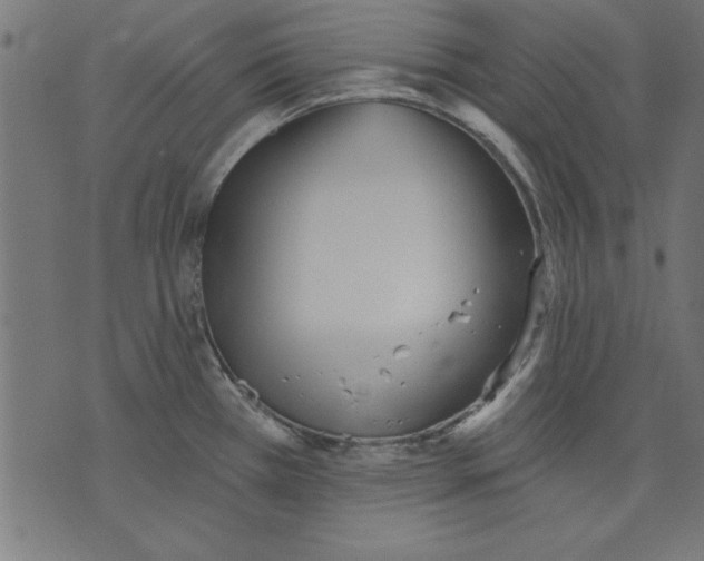 X0000073481385200608211614