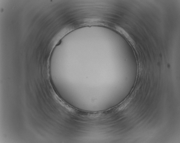 X0000073481386200608211614