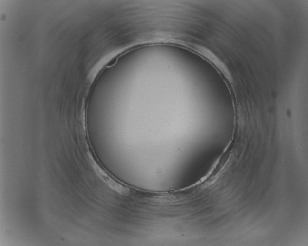 X0000073481388200608211614