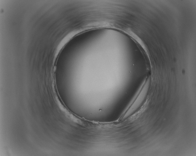 X0000073481389200608211614