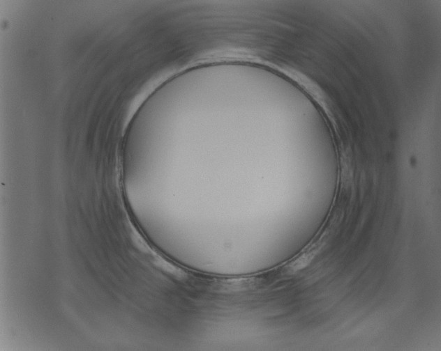 X0000073481390200608211614