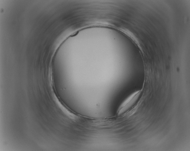 X0000073481391200608211614