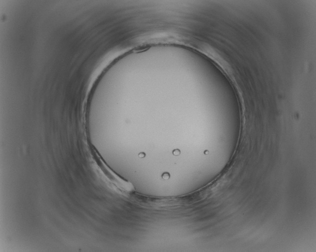 X0000073481392200608211614