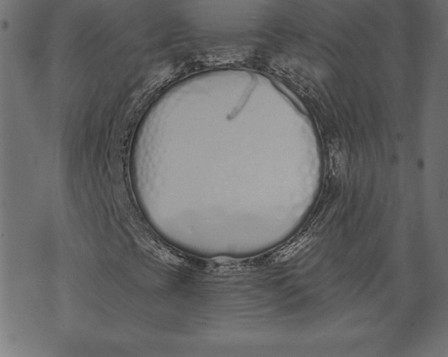 X0000073481393200608211613