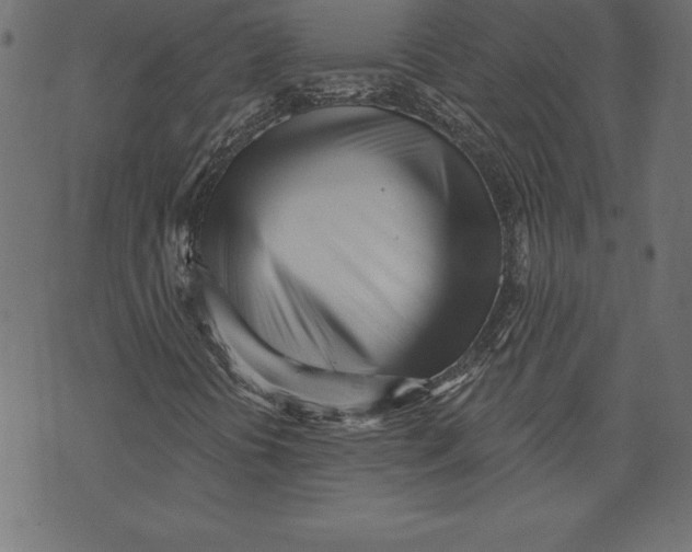 X0000073481394200608211613