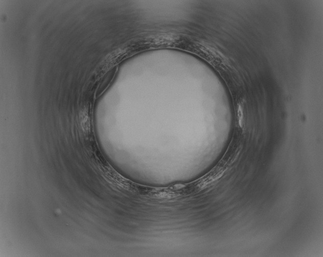 X0000073481395200608211613