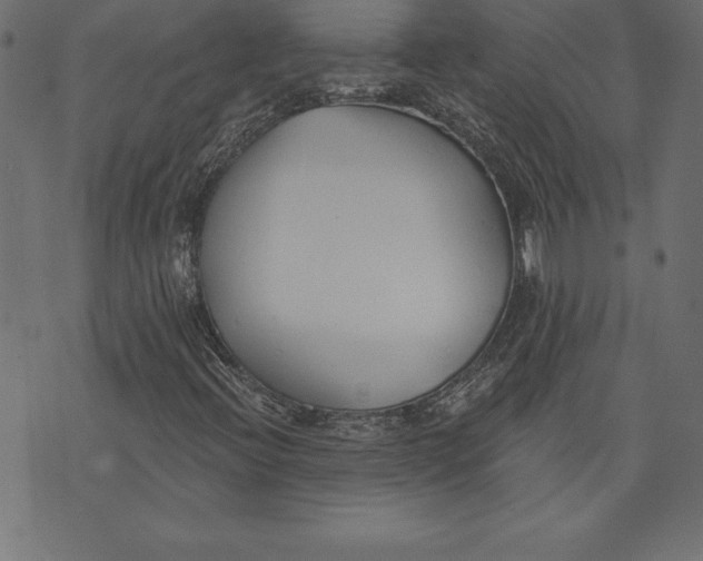 X0000073481396200608211613