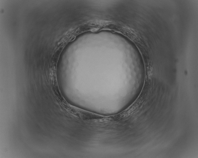 X0000073481397200608211613