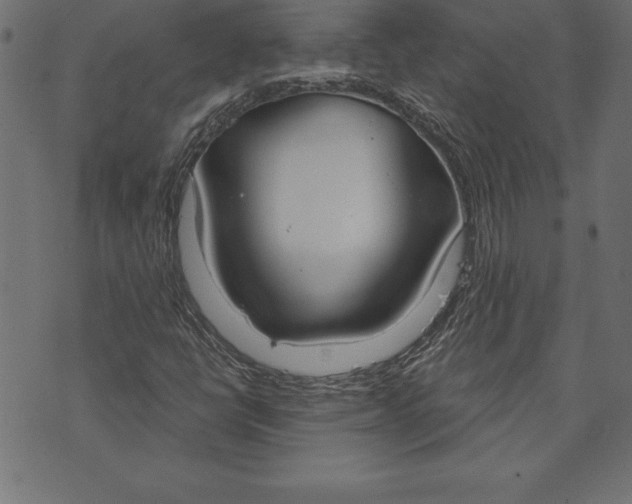 X0000073481398200608211613