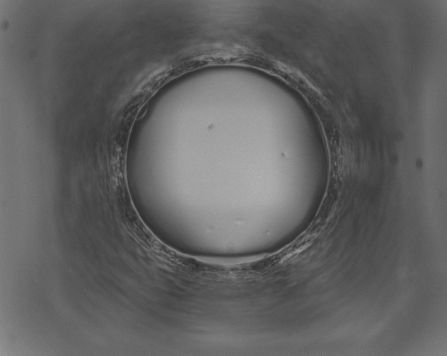 X0000073481399200608211613