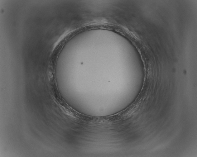 X0000073481400200608211613