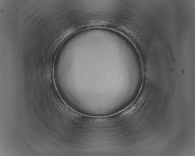 X0000073481401200608211613