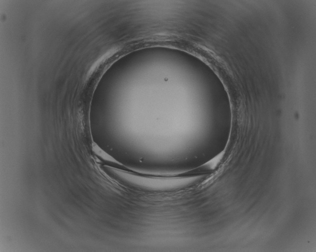 X0000073481402200608211613