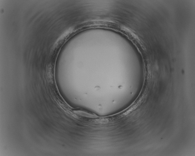 X0000073481403200608211613