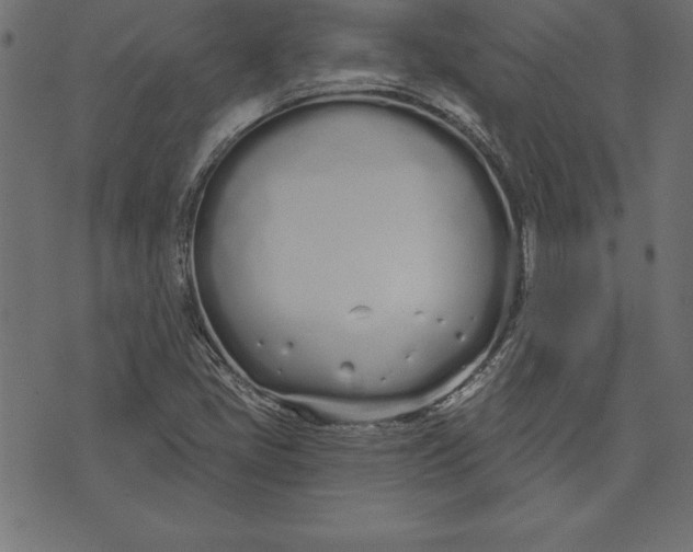 X0000073481405200608211613