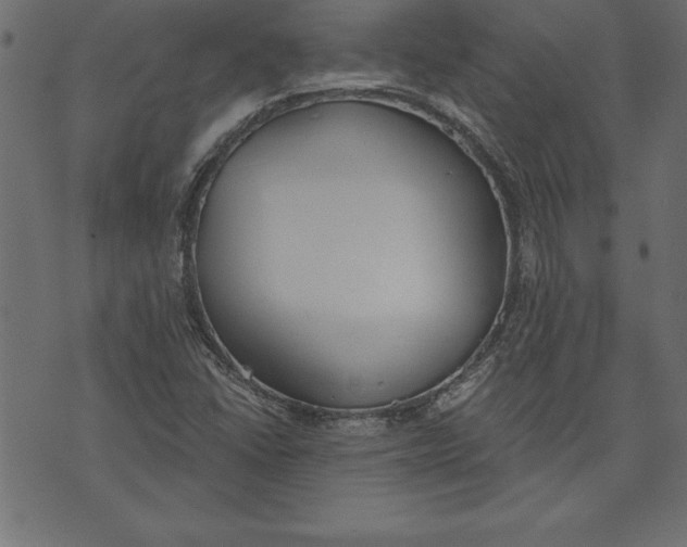 X0000073481406200608211613