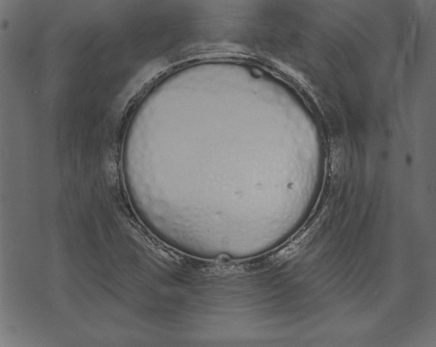 X0000073481407200608211613