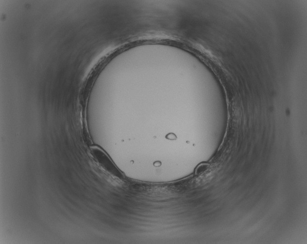 X0000073481408200608211613