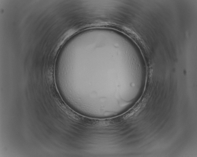 X0000073481409200608211613