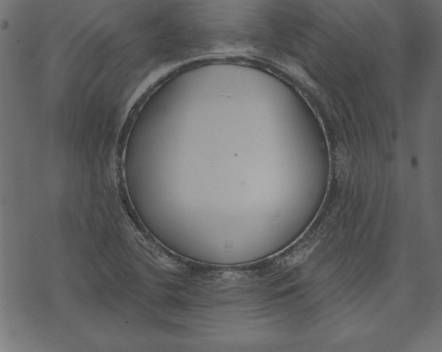 X0000073481412200608211613