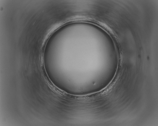 X0000073481413200608211613