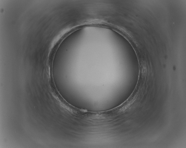 X0000073481414200608211613