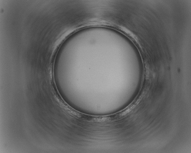 X0000073481415200608211613