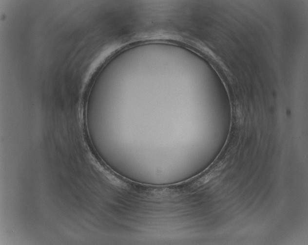 X0000073481416200608211613