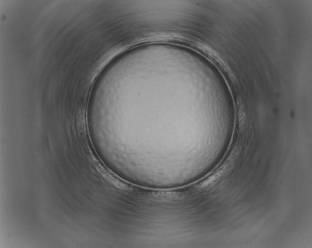 X0000073481417200608211613