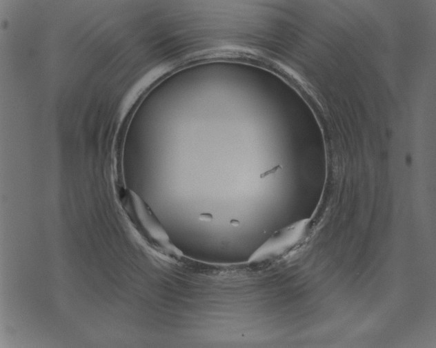 X0000073481418200608211613