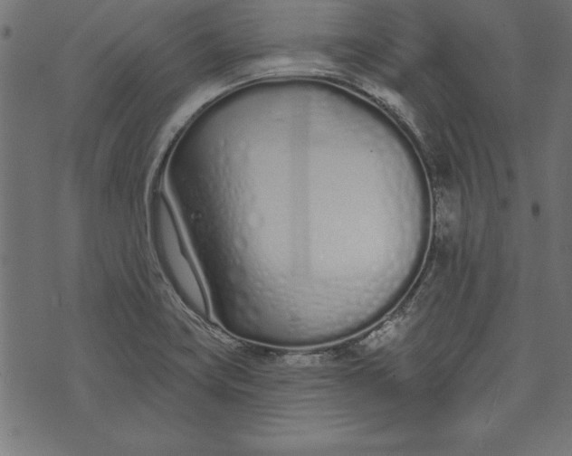 X0000073481419200608211613