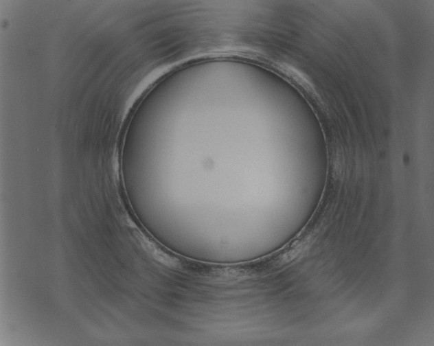 X0000073481420200608211613