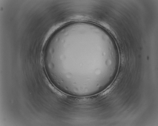 X0000073481421200608211613