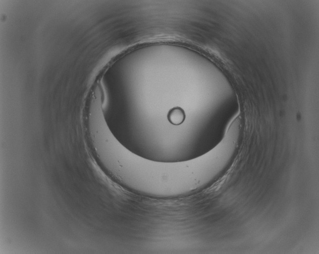 X0000073481422200608211613