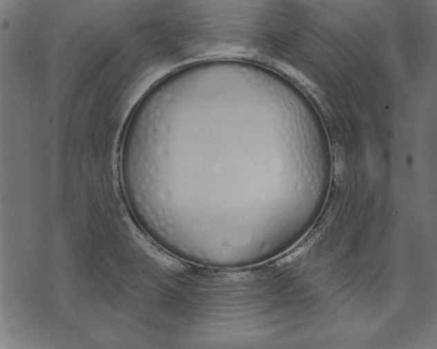 X0000073481423200608211613