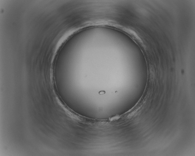 X0000073481424200608211613