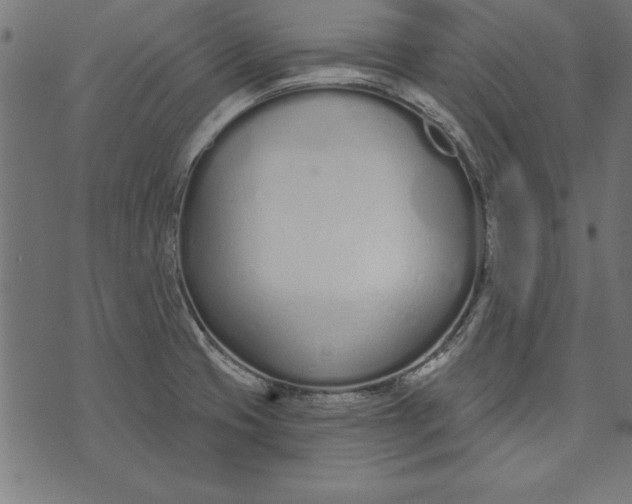 X0000073481425200608211613