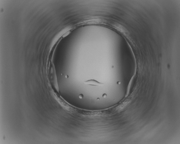 X0000073481426200608211613