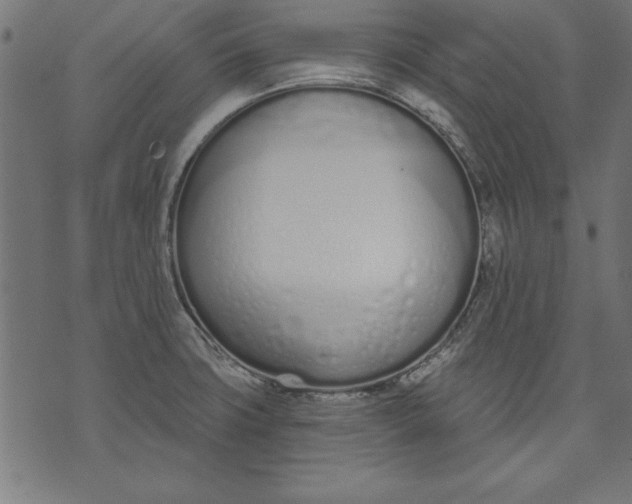 X0000073481427200608211613