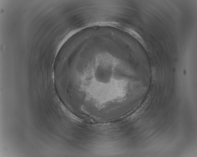 X0000073481428200608211613