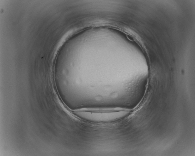 X0000073481429200608211613