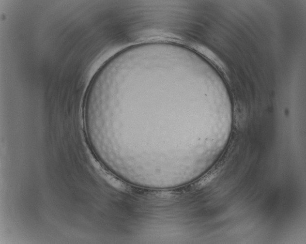 X0000073481431200608211614