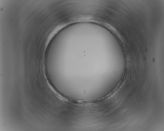 X0000073481432200608211614