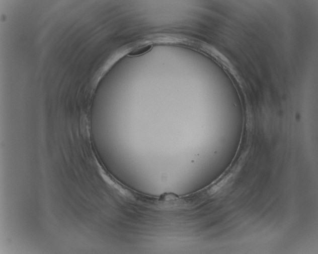 X0000073481433200608211614