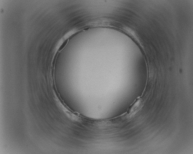 X0000073481434200608211614