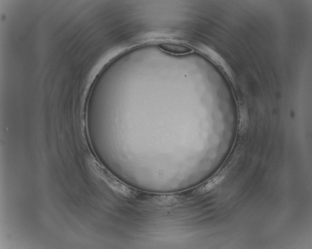 X0000073481435200608211614