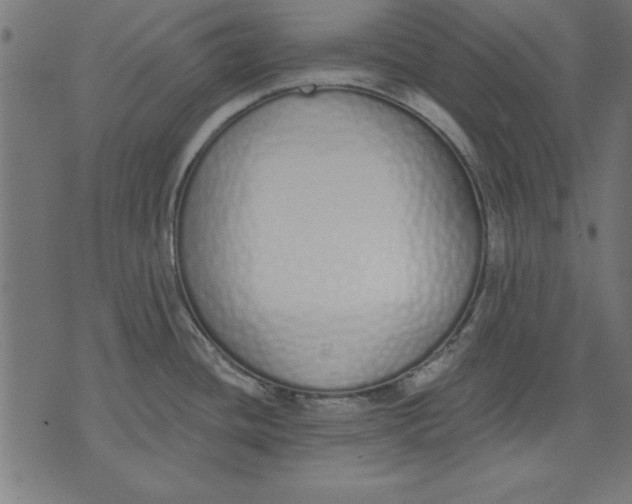 X0000073481436200608211614