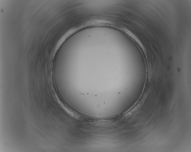 X0000073481437200608211614