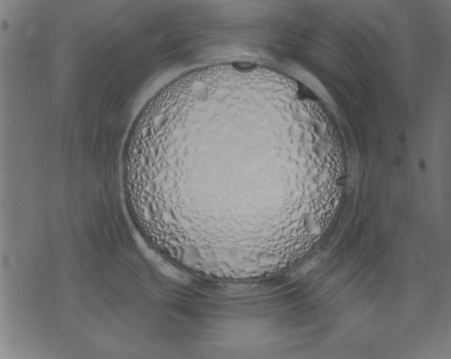 X0000073481439200608211614